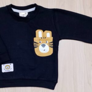 Baby Boy Sweatshirt