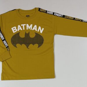Boys Batman Print T-Shirt