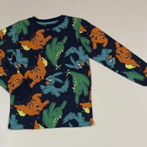Boys Dinosaur Printed T-Shirt